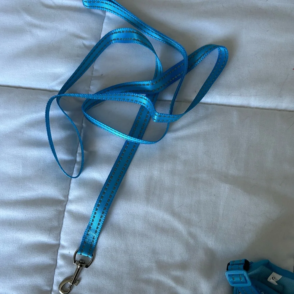 NWOT Cat Harness and Leash
